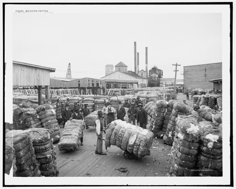 Weighing Cotton. Library of Congress.