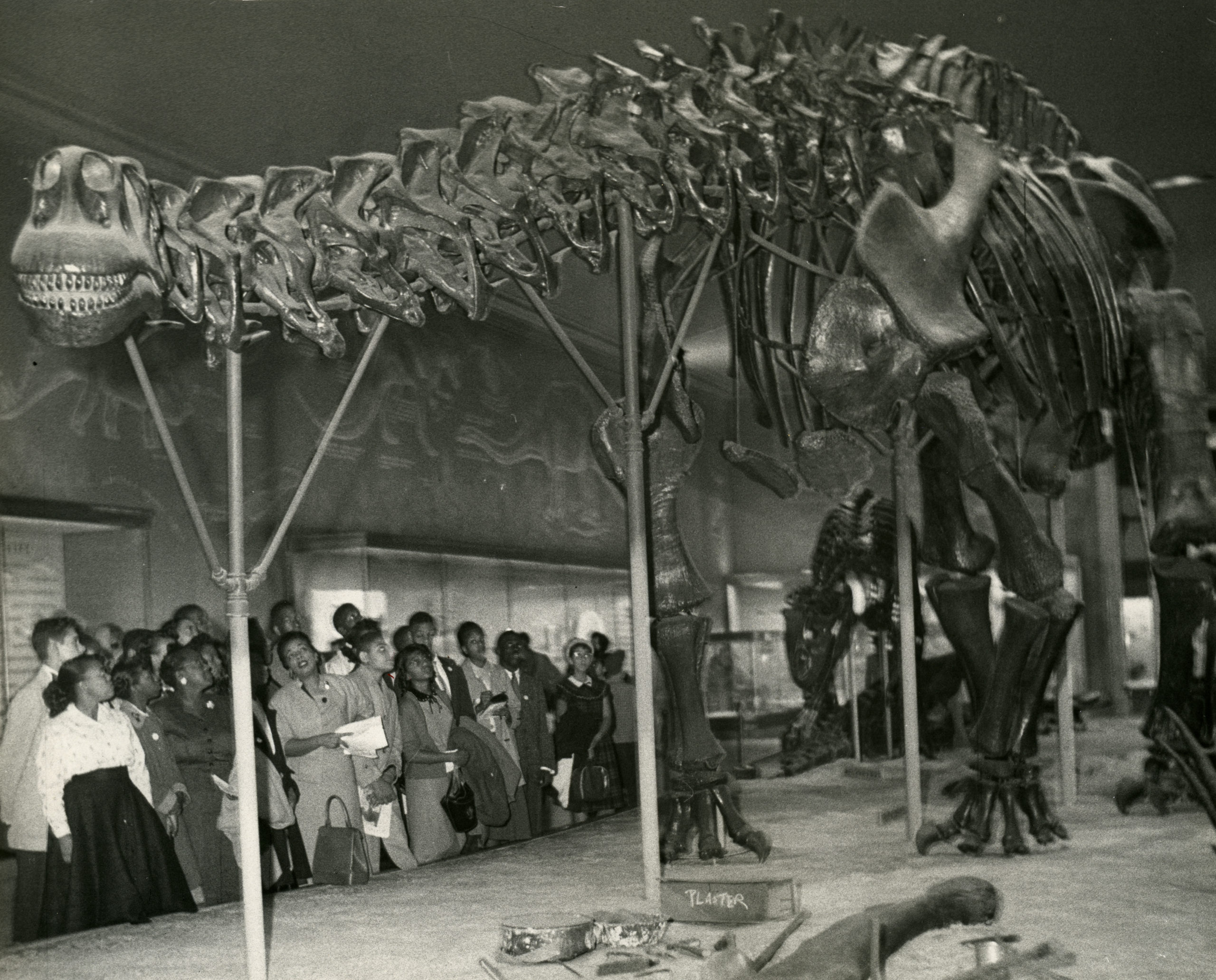 Hoffman-Boston students look at a fossilized dinosaur skeleton on a field trip to a museum, 1950s. Source: Center for Local History, Arlington Public Library.